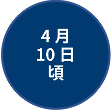 4月10日頃