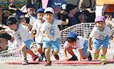 さくらんぼ幼稚園運動会