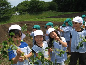 これから植えるぞ～！