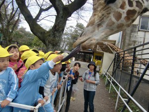 キリンさん！どうぞ・・・。